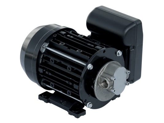 Насос Piusi Garda 5 220V
